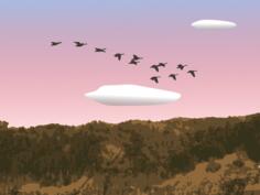 Geese over forest