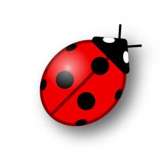 Ladybug vector symbol