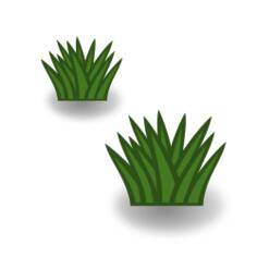 Two green bushes