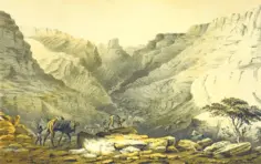 African scene with camels