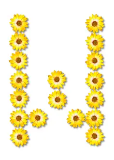 Flowery letter W