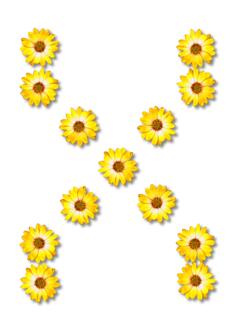 Flowers forming X
