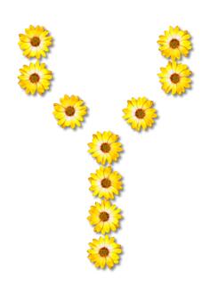 Floral letter Y