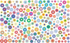 Many colored flowers