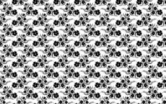 Floral background in white and black