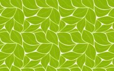 Leaves pattern