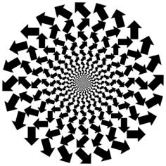Black arrows in cortex