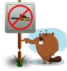 Beaver cartoon image