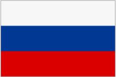 Slovakian flag