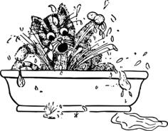 Bad kitty in a bath