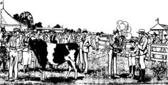 Old time fair vector image