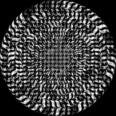 Black and white circle on a background