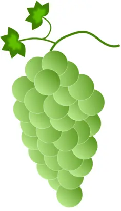 Green-white grapes