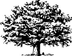 Black and white tree