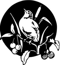 Bird design vector image
