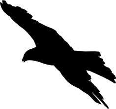 Eagle black silhouette