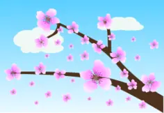 Cherry blossom vector image