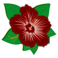 Deep red flowers