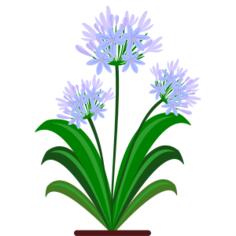 Blue flowers vector image