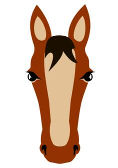 Horse's face