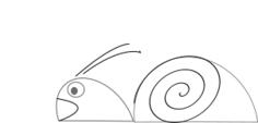 Snail vector drawing