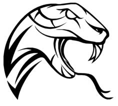 Snake's head
