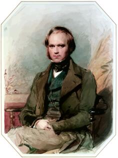 Charles Darwin vector portrait