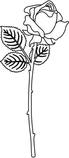 Rose flower silhouette