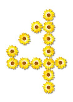 Flowery number four