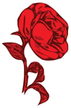 Red rose with red leaves