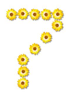 Flowery number seven