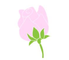 Pink rose line art