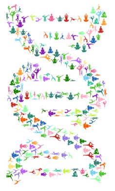 Yoga DNA