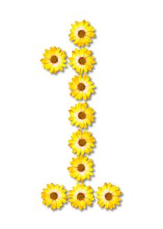 Floral numeral