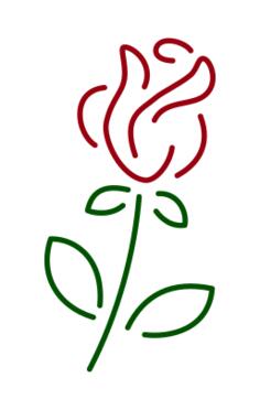 Rose lineart vector image