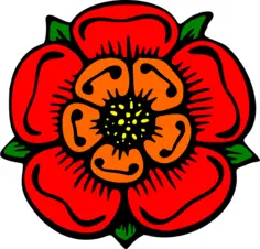 Stylized flower in many colors