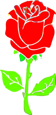 Rose drawing image