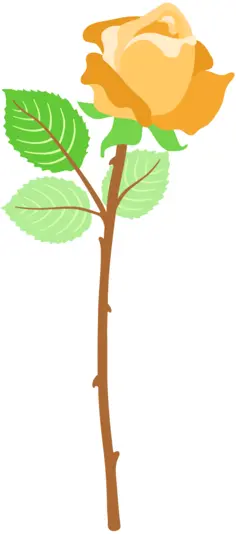 Yellow rose with thorns