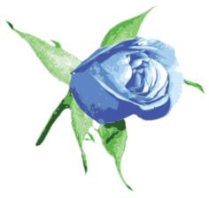 Blue rose vector image