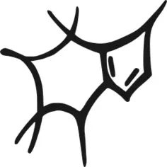 Caffeine molecule sketch