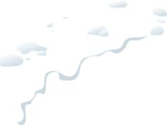 Melting snow cover