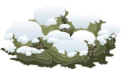 Snowy bush vector image