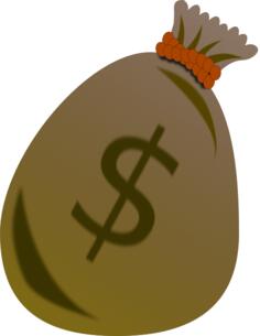 Dollar bag