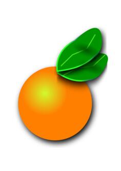 Orange Citrus