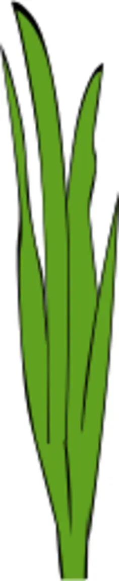 Grass blades and clumps