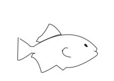 Fish vector sketch