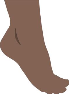 Human foot vector image
