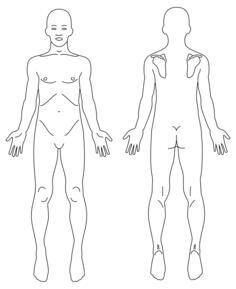 Male anatomy image