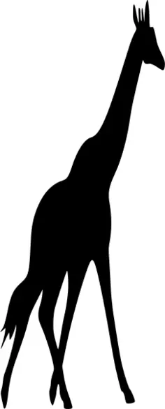 Giraffe silhouette