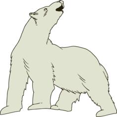 Polar bear vector image